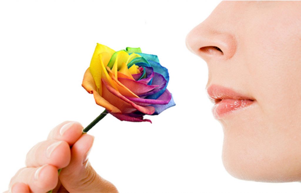 nose_color Marketing Olfativo
