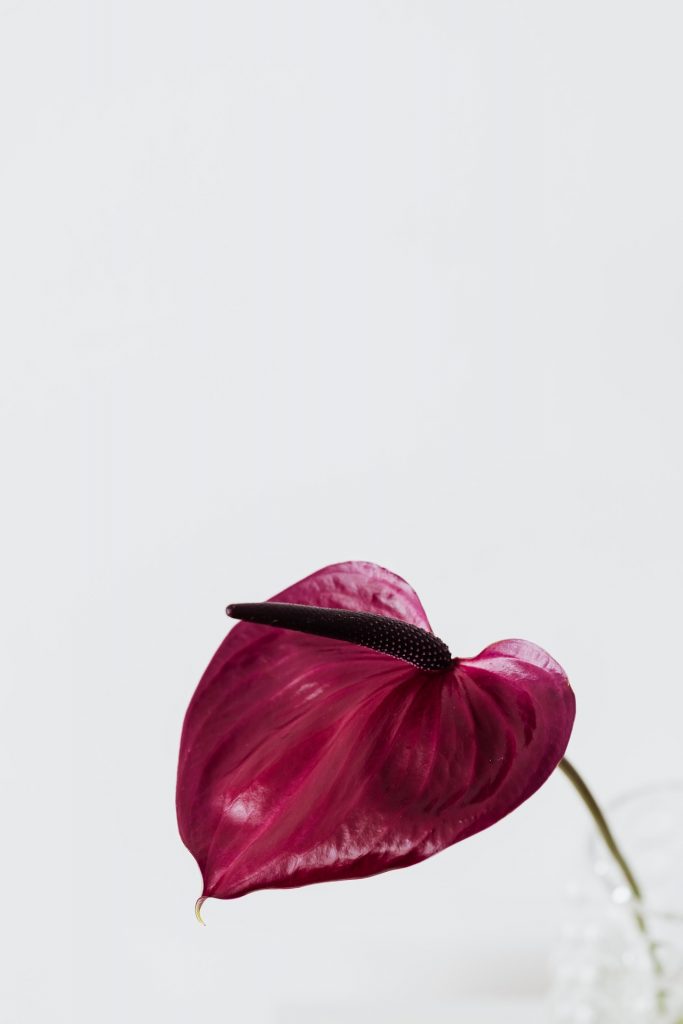 La Empresa - FTS AROMA